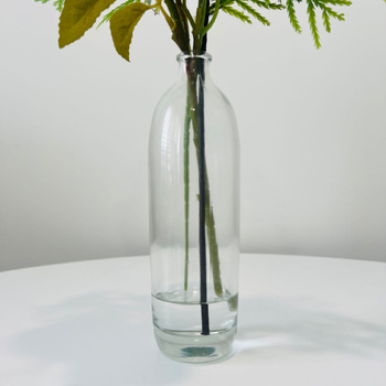 22cm - Clear Glass Bottle