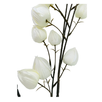 thumb_96cm Lantern Flower - White