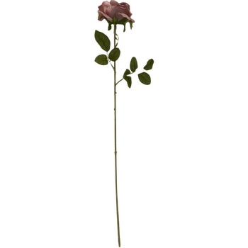 thumb_60cm - Mauve Single Stem Rose