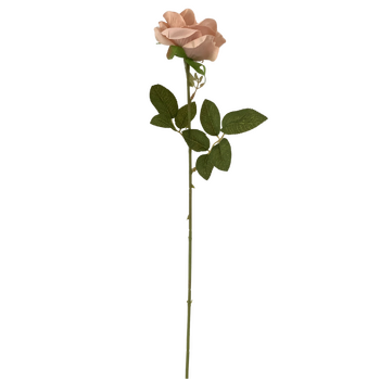 thumb_60cm - Nude Single Stem Rose