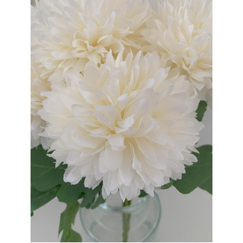 thumb_7 Head Dahlia Bouquet - White/Cream