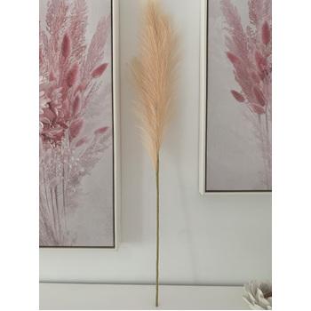 thumb_80cm Pampas Grass - Soft Peach