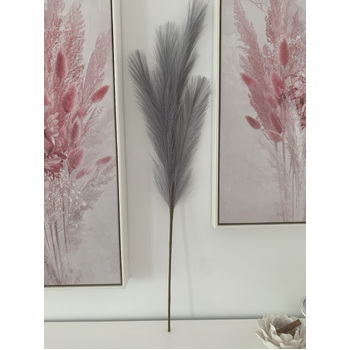 thumb_80cm Pampas Grass - Grey