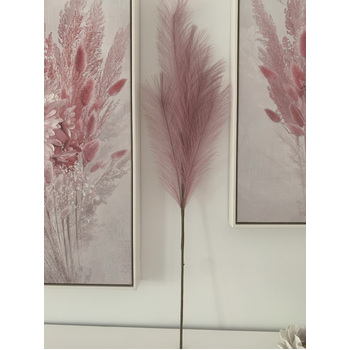 thumb_80cm Pampas Grass - Mauve