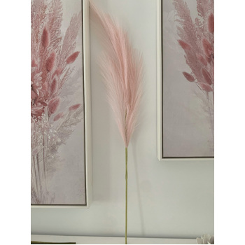 thumb_80cm Pampas Grass - Soft Pink