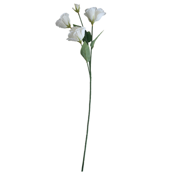 thumb_Lisianthus 4 head - 70cm - White