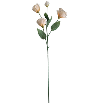 thumb_Lisianthus 4 head - 70cm - Peach