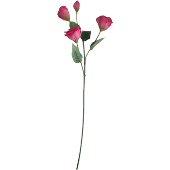 thumb_Lisianthus 4 head - 70cm - Fuschia