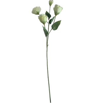 thumb_Lisianthus 4 head - 70cm - Soft Green