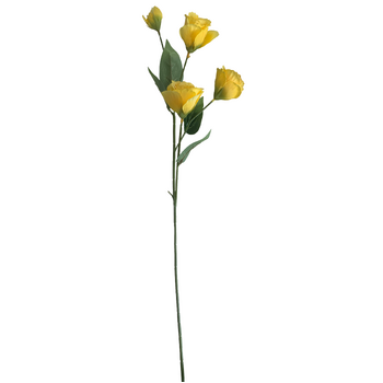 thumb_Lisianthus 4 head - 70cm - Yellow