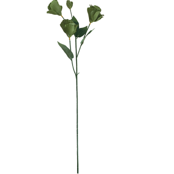 thumb_Lisianthus 4 head - 70cm - Sage/Willow Green