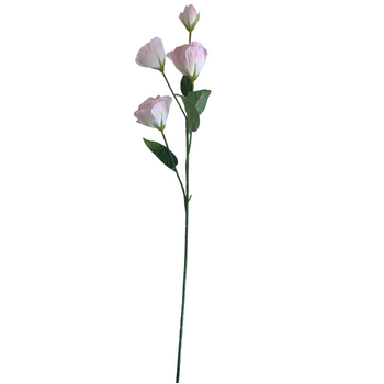 thumb_Lisianthus 4 head - 70cm - Soft Pink