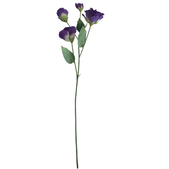 thumb_Lisianthus 4 head - 70cm - Purple