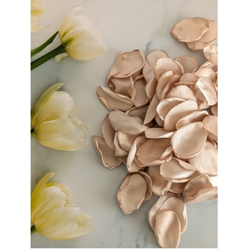 thumb_200 Beige Silky Rose Petals in organza pouch