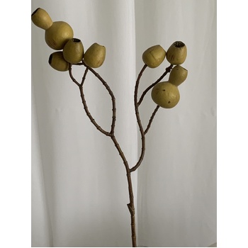 thumb_50cm Giant Gum Nut Branch 