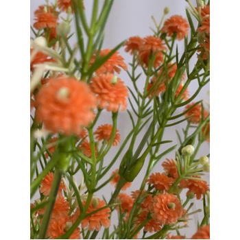 thumb_34cm Babies Breath/Gypsophillia Filler - Orange