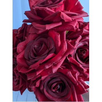 thumb_47cm - Burgundy 9 Head Rose Bush