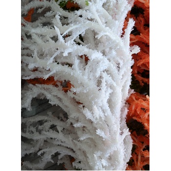 thumb_90cm White  Amaranthus Branch