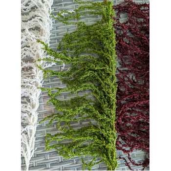 thumb_90cm Green Amaranthus Branch