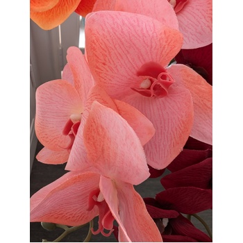 thumb_Peachy Pink Cymbidium Orchid 7 head - 75cm