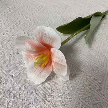 thumb_Peach Single Stem Open Tulip 65cm