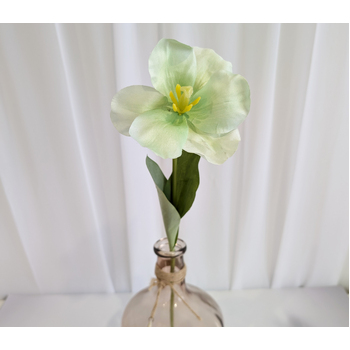 thumb_Soft Green Single Stem Open Tulip 65cm