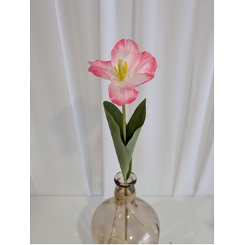 thumb_Pink/White Single Stem Open Tulip 65cm