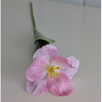 thumb_Pink Single Stem Open Tulip 65cm