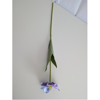 thumb_Violet/Purple Single Stem Open Tulip 65cm