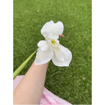 thumb_ Iris Stem - 85cm White Artificial Stem