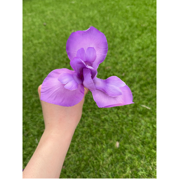 thumb_Iris Stem - 85cm Purple Artificial Stem