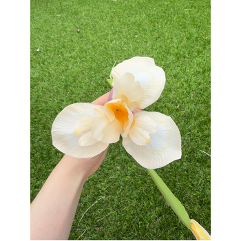 thumb_Iris Stem - 85cm Soft Peach Artificial Stem