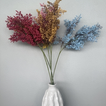 thumb_77cm BlueTwo Tone Effect Astilbe