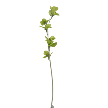 thumb_63cm Sweet Pea Stem - Sage Green