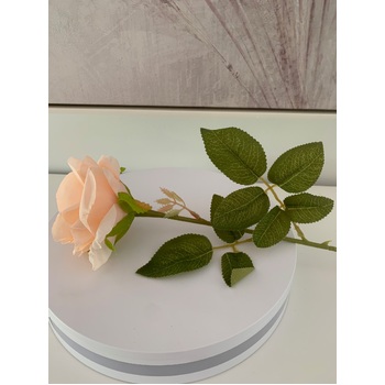 thumb_60cm - Soft Peach Single Stem Rose