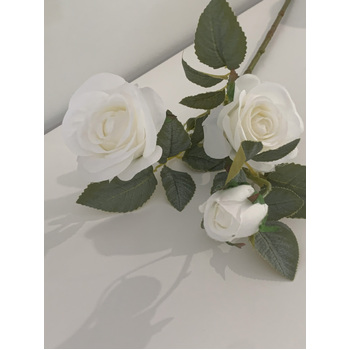 thumb_70cm - White/Cream 3 Head Rose Stem