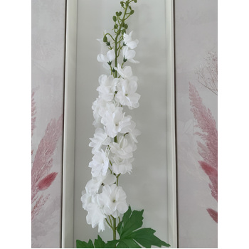 thumb_Delphinium - 100cm - White