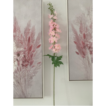 thumb_Delphinium - 100cm - Pink