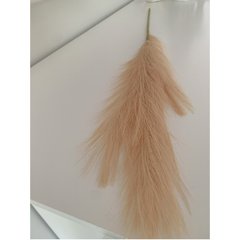 thumb_80cm Pampas Grass - Soft Peach