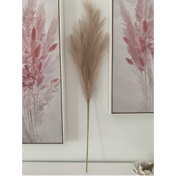 thumb_80cm Pampas Grass - Beige