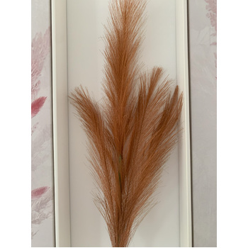 thumb_80cm Pampas Grass - Brown