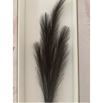 thumb_80cm Pampas Grass - Black