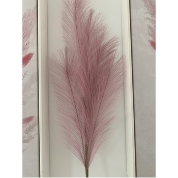 thumb_80cm Pampas Grass - Mauve