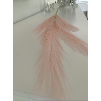 thumb_80cm Pampas Grass - Soft Pink