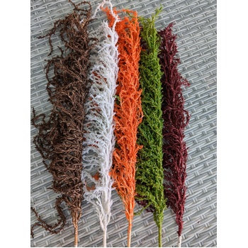 thumb_90cm Brown Amaranthus Branch