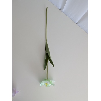 thumb_Soft Green Single Stem Open Tulip 65cm