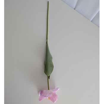 thumb_Pink Single Stem Open Tulip 65cm