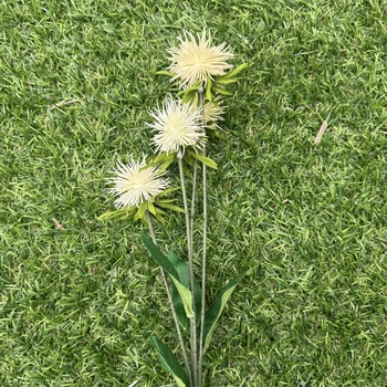 thumb_60cm Yellow Globe Thistle Artificial Stem