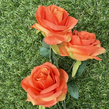 thumb_65cm - 3 Head Open Rose Flower Stem - Orange