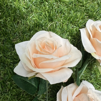 thumb_65cm - 3 Head Open Rose Flower Stem - Peach